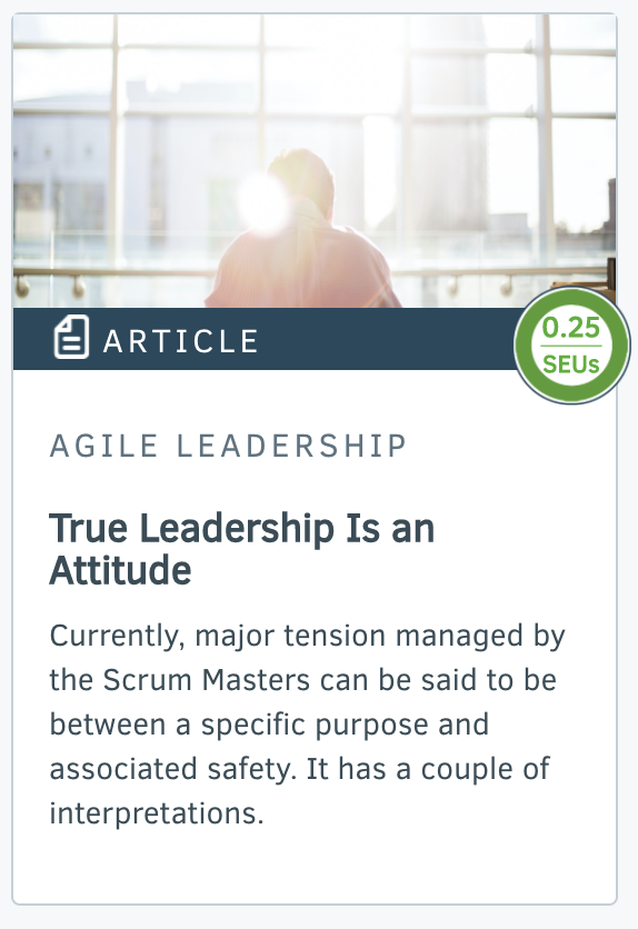 Article - True Leadership is an Attitude  